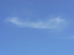 SPIRITO LIBERO