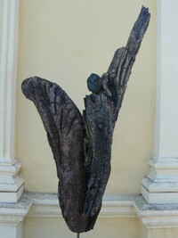 opera